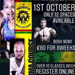 8 WEEKS MMA COURSE STARTS ON 1st October!!!